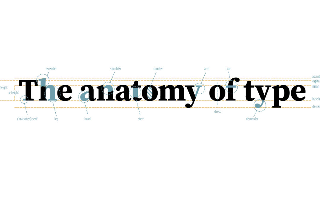 AW 03: Anatomy of type